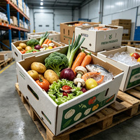 Kraft-waxgecoate golfkartonnen doos, food grade verpakking voor diepvriesproducten, groenten, fruit en koudeketentransport