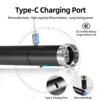 Senter Terapi Cahaya Merah Mini Industri Grosir 660nm Baja Tahan Karat 350 Lumens Perangkat Pereda Nyeri Portabel