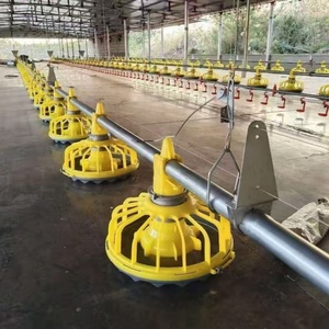 Pièces d'équipement d'élevage de poulets de chair : <span class=keywords><strong>Tuyau</strong></span> d'eau rond et carré en <span class=keywords><strong>PVC</strong></span>, Abreuvoir à tétine en acier, Coupe-goutte, <span class=keywords><strong>Mangeoire</strong></span> pour poussins - Product Image 6