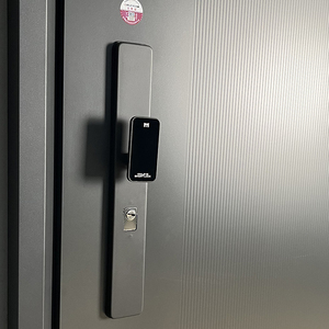 Owleye FM-018 thép hiện đại an ninh lối vào cửa cho biệt thự sử dụng nội thất chống trộm chống cháy cách âm Kích thước tiêu chuẩn - Product Image 5