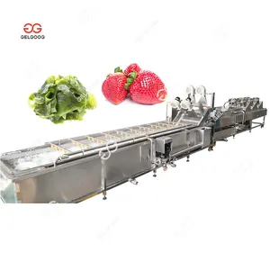 Bubble Fruit And Veggie Cleaner Shrimp Cleaning Equipment Olive Clean Machine Fruit And Vegetable Washer Industrial