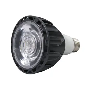 Lampu PAR lampu sorot COB 7W Par30 lampu sorot Led lampu PAR 85-265V bola lampu Ukuran hangat putih 3000K