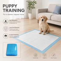 Almohadillas de Entrenamiento para Perros y Cachorros de Alta Resistencia y Ecológicas, con Núcleo de Pulpa Fluff SAP y PE, de Rápida Absorción, con Base Impermeable IPX7, para Limpieza, OEM, a Granel