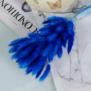 Erba di Coniglio Essiccata Naturale all'Ingrosso per Decorazioni Matrimoniali, Forniture per Fioristi, Artigianato Fai-da-Te e Composizioni - Product Image 3