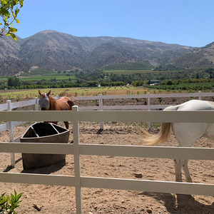 Nhà Máy Trực Tiếp Giá Dễ Dàng Lắp Ráp 3 Đường Ray PVC Nhựa Vinyl Ngựa Hàng Rào - Product Image 2