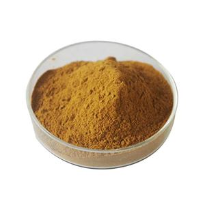 Ganoherb Champignons <span class=keywords><strong>Extract</strong></span> Poeder Cordyceps Militaris <span class=keywords><strong>Extract</strong></span> Organisch Voor Immuunsysteem Booster Supplementen - Product Image 3