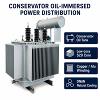 Transformator Tiga Fasa Berpendingin Minyak Tembaga Wanbo-477 S20 630kVA 10kV 35kV Dyn11 ONAN Conservator