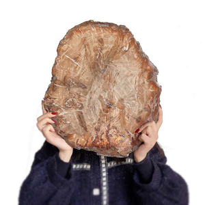 Grande plaque de cristal fossile brun naturel écologique de 30-40 cm, polie, pour la décoration artistique et les objets de collection - Product Image 3