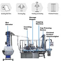 Machine automatique de comptage et de remplissage de sachets de nicotine pour snus, ligne de cartonnage de sachets de snus secs et humides haute vitesse, certifiée CE