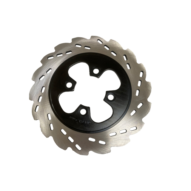 Motorcycle Parts & Accessories Brake Rotor Disc Stainless Steel 220mm Rear Brake Disc for SHINERAY XY200GY