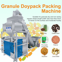 Machine d'emballage automatique horizontale pour aliments pour animaux de compagnie en sacs préformés avec élévateur à godets, équipement d'emballage Doypack linéaire à 3 têtes