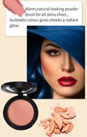 Palette de fard à joues mat noir en gros pour le maquillage, 12 couleurs, haute pigmentation, fard à joues pour peau foncée