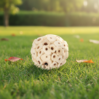 Jouet naturel pour oiseaux, boules de pulpe comestibles pour perruches moine, tourtereaux, jouet à mâcher sûr pour perroquets