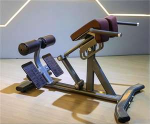 Appareil d'exercice pour le bas du dos Freeman Commercial Home Gym : <span class=keywords><strong>banc</strong></span> d'extension dorsale / chaise romaine - Product Image 4