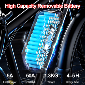 Batterie de vélo électrique Polly 21700 au prix d'usine, batterie au lithium 48V 30Ah, pack de batteries avec BMS intelligent 50A, chargeur 5A, batterie pour vélo électrique - Product Image 6