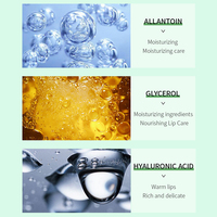 Masque Rose aux Essences Végétales pour les Lèvres Hydratant Éclaircissant Anti-Rides Élimine les Peaux Mortes Fourniture OEM