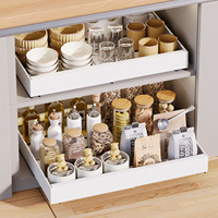 Organisateur de placard coulissant en acier au carbone pour vente en gros, panier coulissant sous évier, étagère à épices de cuisine, OEM ODM, logo personnalisé