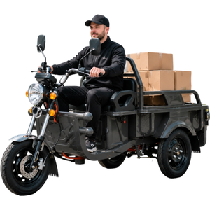 Motocicleta Eléctrica <span class=keywords><strong>de</strong></span> Carga <span class=keywords><strong>de</strong></span> 3 Ruedas, Triciclo Eléctrico para Adultos, para <span class=keywords><strong>Transporte</strong></span> <span class=keywords><strong>de</strong></span> Pasajeros y Carga, Precio <span class=keywords><strong>de</strong></span> Mayoreo - Product Image 1