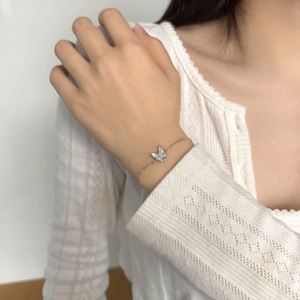 Dylam Jewelry Manufacturer Customizable S925 Silver Link Chain 5A Cubic Zirconia <b>Shell</b> Butterfly Pendant <b>Bracelets</b> <b>Bracelet</b> - Product Image 6