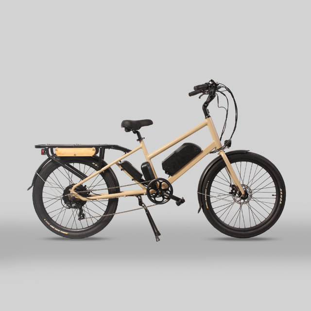 Long Range Double Lithium Battery Food Delivery Electric Cargo Bike