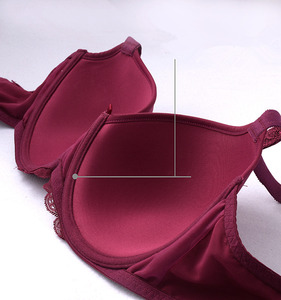 Brasier Liso Con Detalle Logotipo En Las Copas Brasier Talla Extra <span class=keywords><strong>Push</strong></span> <span class=keywords><strong>Up</strong></span> Con Encaje bra - Product Image 6