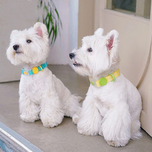 Wasserdichte PVC-beschichtete Hunde halsbänder mit rutsch fester Prägung Langlebige und verstellbare bunte Hunde halsbänder aus weichem Nylon-Makaron - Product Image 6