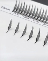 Big Lash Book Extensions de cils pré-faites souples, effet comique et pointu, bouquets de cils en gros, nouveaux cils plumeux, livre de cils en bouquets DIY