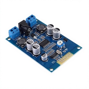 Módulo Amplificador Mono Clase D de 60W para Placa de Desarrollo 5.0 HIFI, Modificación DIY de Altavoces, DC8-24V - Product Image 1