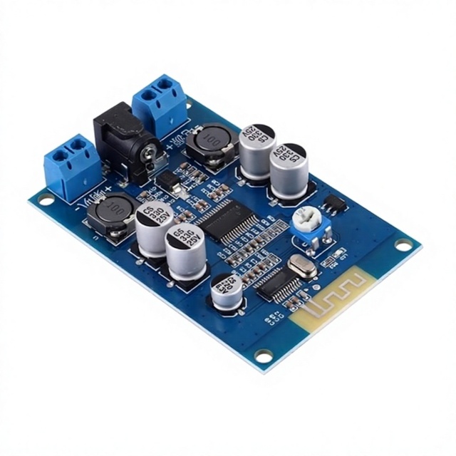HIFI for 5.0 Development Board 60W Mono D-Class Amplifier Module Speaker DIY Modification DC8-24V
