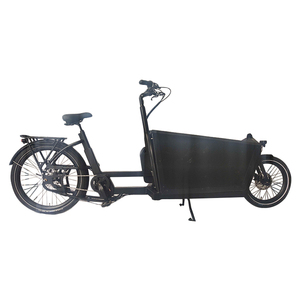 Heavy Duty Electric Pedal 2 Wheels Cargo Bike 36v 250w e bakfiets Cargobikes For Delivery