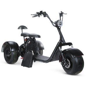 Triciclo con soporte de golf Lder 6,78 "eSign 3 ruedas Citycocasusectric Adulto Eléctrico CE Personalizado 60V 10 pulgadas Carga abierta> 1000W - Product Image 3