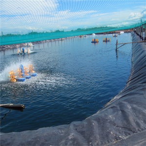 <span class=keywords><strong>Bâche</strong></span> de bassin en PEHD 500 microns pour l'élevage de poissons et de crevettes, géomembrane pour projet de lac artificiel - Product Image 3