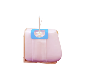 Modelo Anatómico de Punción Lumbar ADA PVC Modelo 463 Hecho en Shanghái - Product Image 1