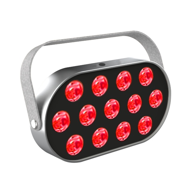 Red Light Therapy for Body Panel 13 LED 660nm 850nm  Infrared Light Therapy  Ease Discomfort  Handheld Red Light Therapy Device