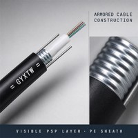 Câble de télécommunications extérieur blindé GYXTW à fibre optique monomode, 4, 6, 10, 12, 18, 24 fibres, avec bande d'acier et tube lâche