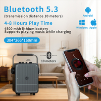 Enceinte Karaoké Portable Sans Fil pour Réunions en Extérieur avec Microphones, Boîte à Musique, Prise en Charge Carte TF et Clé USB