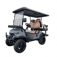 Carrito de Golf Eléctrico Elevado de 4 Plazas, Marca Tarion, Fabricante Chino, Logotipo Personalizado, Color Personalizado, Velocidad Máxima de 35 KM/H, Libre de Mantenimiento, Batería Coloidal de 60V