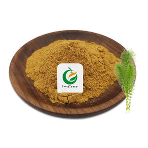 Rganic quisetum yemale Xtract owowder 10:1 Horsetail Xtract - Product Image 1