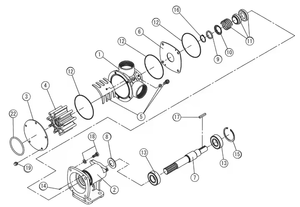 ปั๊มยางเรือเดินทะเลรุ่นใหม่ MF Series MF-40S สำหรับงานชลประทาน การระบายน้ำ และการจ่ายน้ำ - Product Image 6