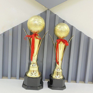 2025 Trophée en plastique populaire mondial personnalisé trophée de championnat de basket-ball haut de gamme coupe trophée étudiant créatif - Product Image 6