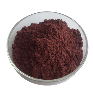 Fabrika kaynağı yabanmersini dondurularak kurutulmuş toz - Product Image 2