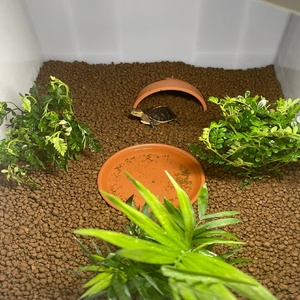 Suelo de jade rojo japonés auténtico, suelo granular de bonsái duro nutritivo, paquete de 14 L 9 kg, suministros de jardín importados originales - Product Image 6
