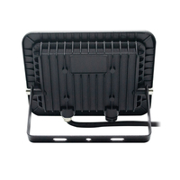 AC DC 12V 24V IP66 Outdoor 30W LED-Flutlicht