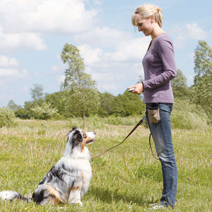 Taşınabilir Evcil Hayvan Eğitim Tıklayıcısı - Olumlu Takviye için Yüksek Sesli Dayanıklı Plastik Köpek Kedi Eğitim Aracı - Product Image 5