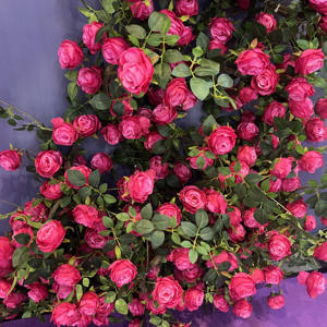 特別オファー5.7FTフェイクテーブル花柄ガーランドローズピンク天井吊りシルク人工ローズフラワーバイン - Product Image 1