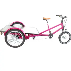 Teslimat için OEM avrupa depo kargo bisiklet 3 tekerlekli bisiklet Motor üç tekerlekli bisiklet satılık