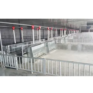 Agricultural Farming Stall Customized Pig Fattening Cage Hot Galvanized Bars for Fattening Pig Farm Finishing Stall Fatten Crate