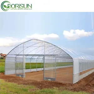 Invernadero de túnel agrícola de un solo uso, película de plástico para tomate y verduras, precio bajo, en venta