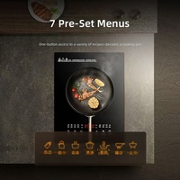 Cuisinière à induction portable à brûleur unique, plaque de cuisson électrique intégrée, alimentation solaire/par batterie 220V pour usage domestique, friture et fondue