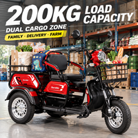 Vélo électrique à 3 roues, moteur sans balais 1000W, batterie au plomb-acide 48V 20Ah, autonomie de 60 km, tricycle de mobilité pour personnes âgées et adultes